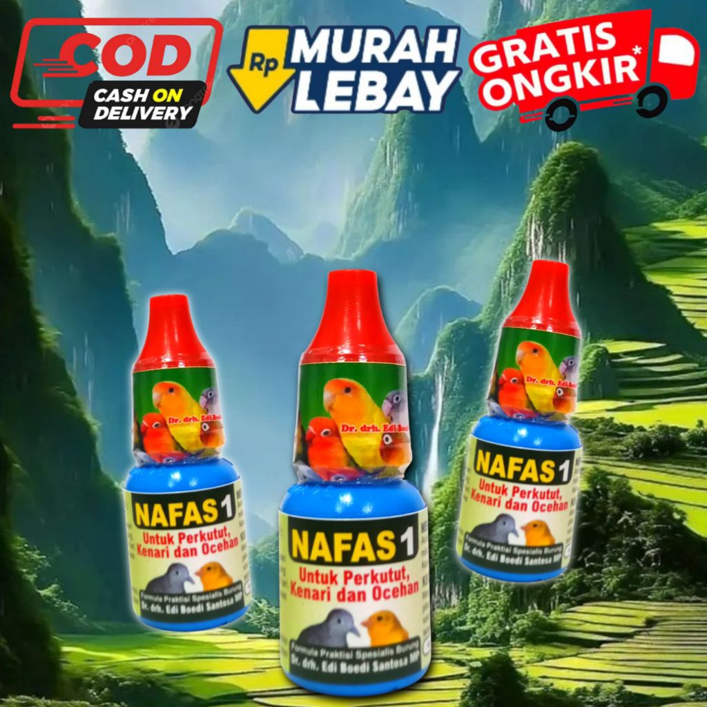NAFAS 1 DR. EDI OBAT BURUNG SAKIT