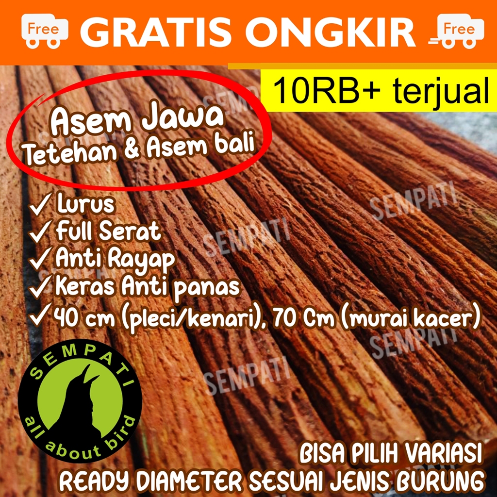 SEMPATI TANGKRINGAN PANGKRINGAN KAYU ASEM BALI PANJANG SUPER / PREMIUM / GRADE A SANGKAR BURUNG