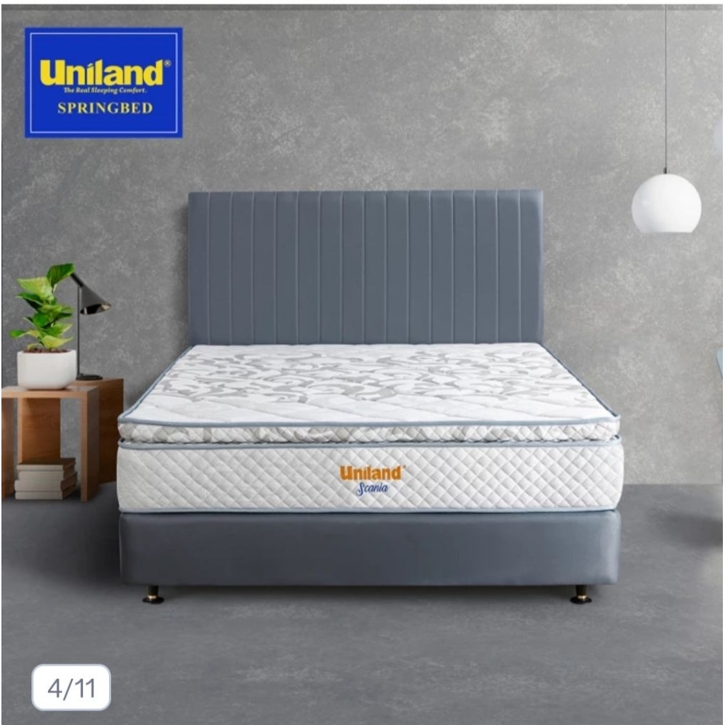 SP.bed Uniland Standar pillowtop 160 x 200
