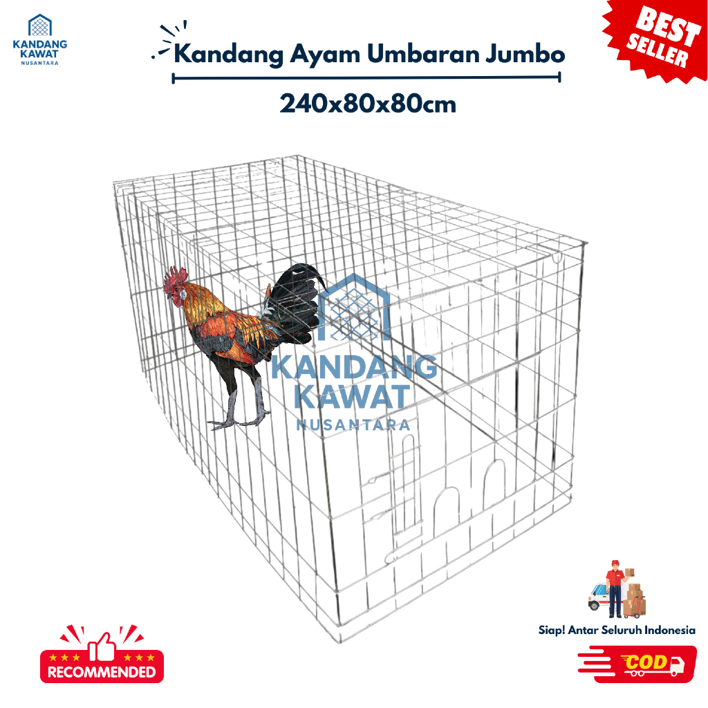 KANDANG AYAM UMBARAN GALVANIS | KANDANG AYAM JAGO | UKURAN 240x80x80 CM | BEST QUALITY