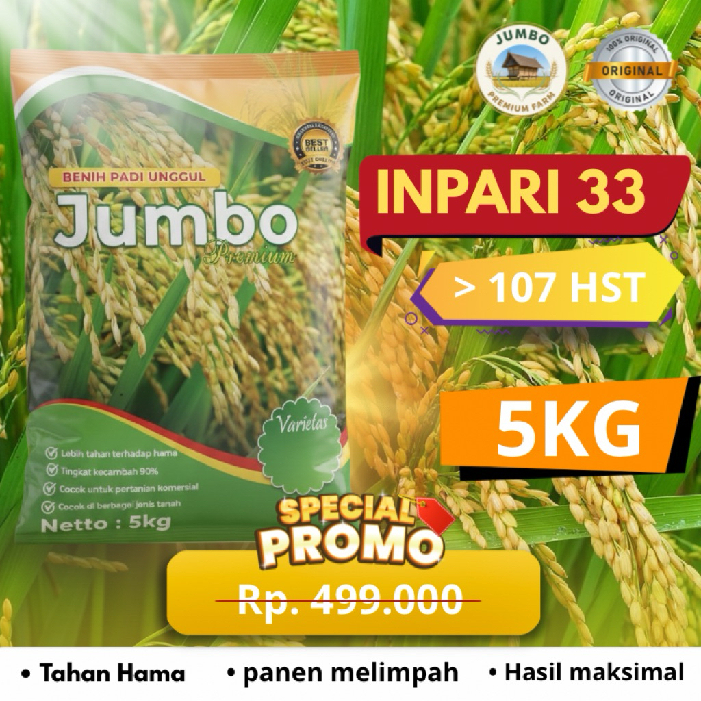 Benih padi INPARI 33 benih padi unggul original jumbo premium benih padi berkualitas