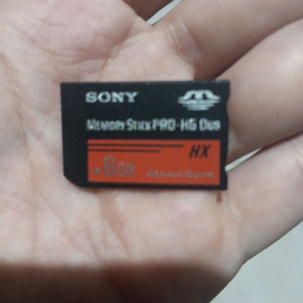 Memory Stick Pro Duo