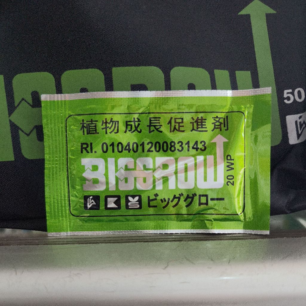 ZPT - BIG GROW 5 gram - GA3