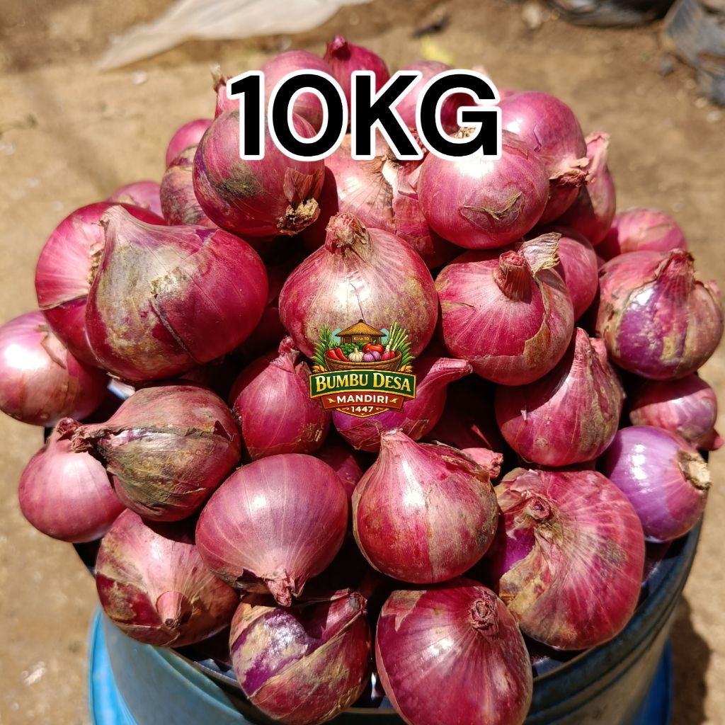 Bawang Merah Lokal Super 10KG / Bawang Merah Maja / Bawang Merah Batu / Bawang Merah Sumenep / Bawan