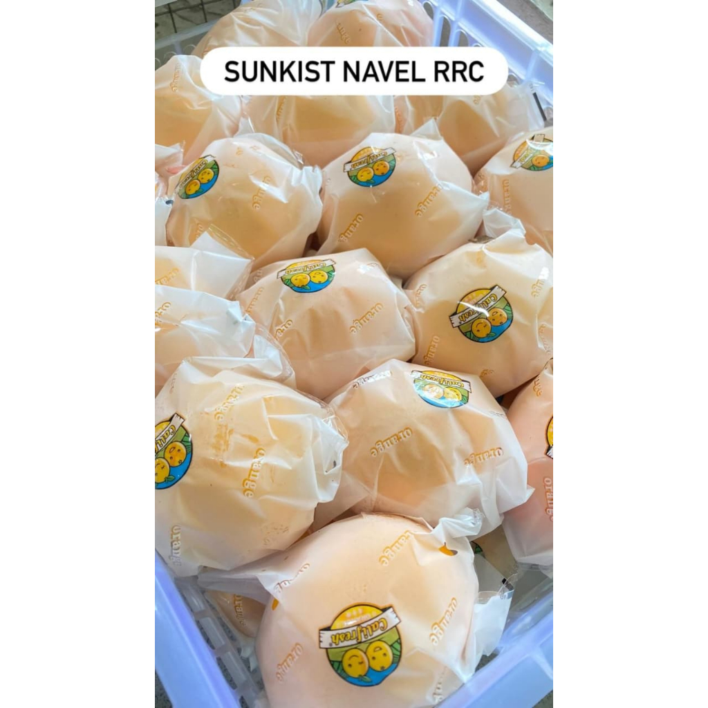 Sunkist Navel RRC
