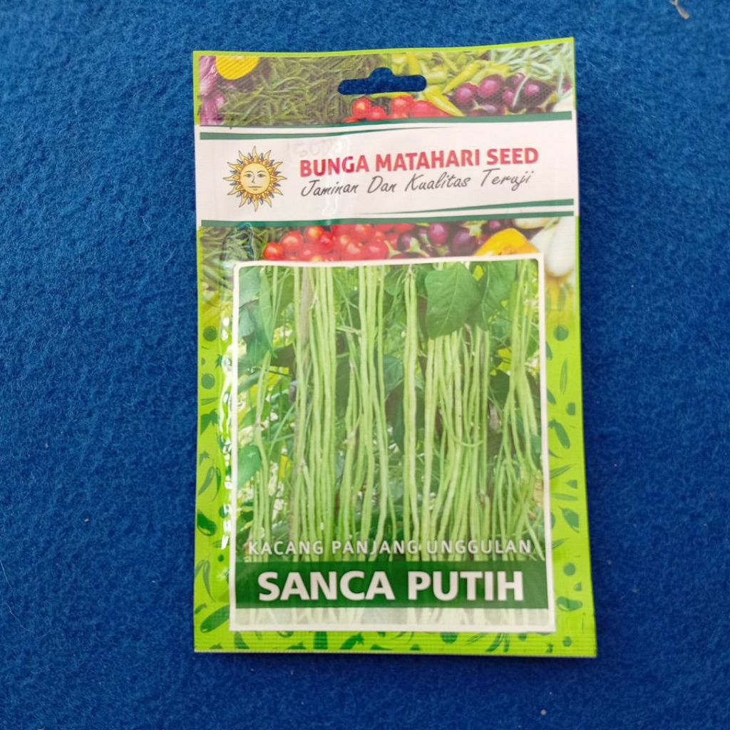 bibit kacang panjang sanca putih