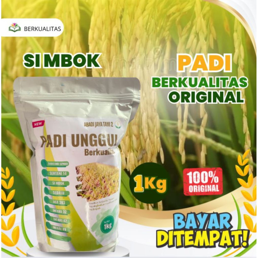 Bibit padi unggul dan berkualitas Bibit padi SIMBOK 1Kg