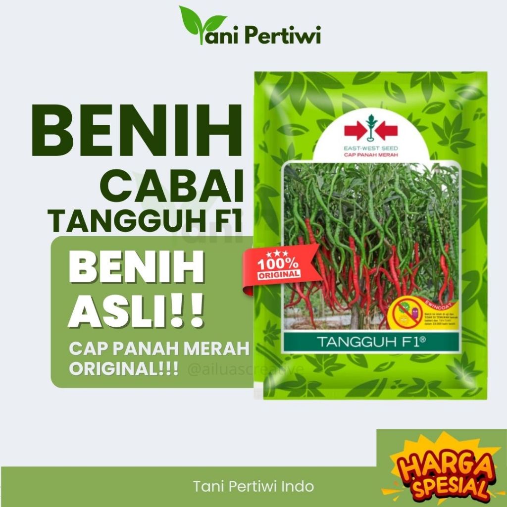 Benih Cabai TANGGUH F1 2000 btr Cap Panah Merah