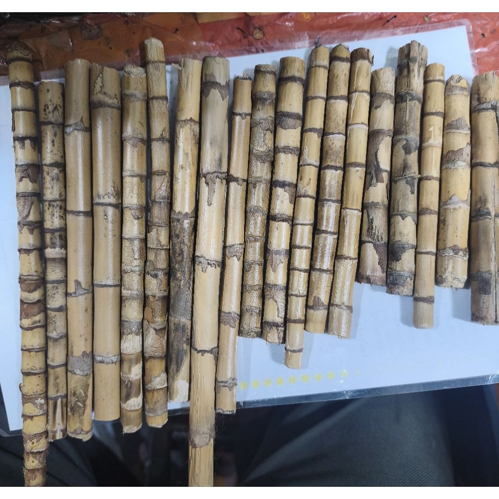 andong bertuah kayu khas kalimantan