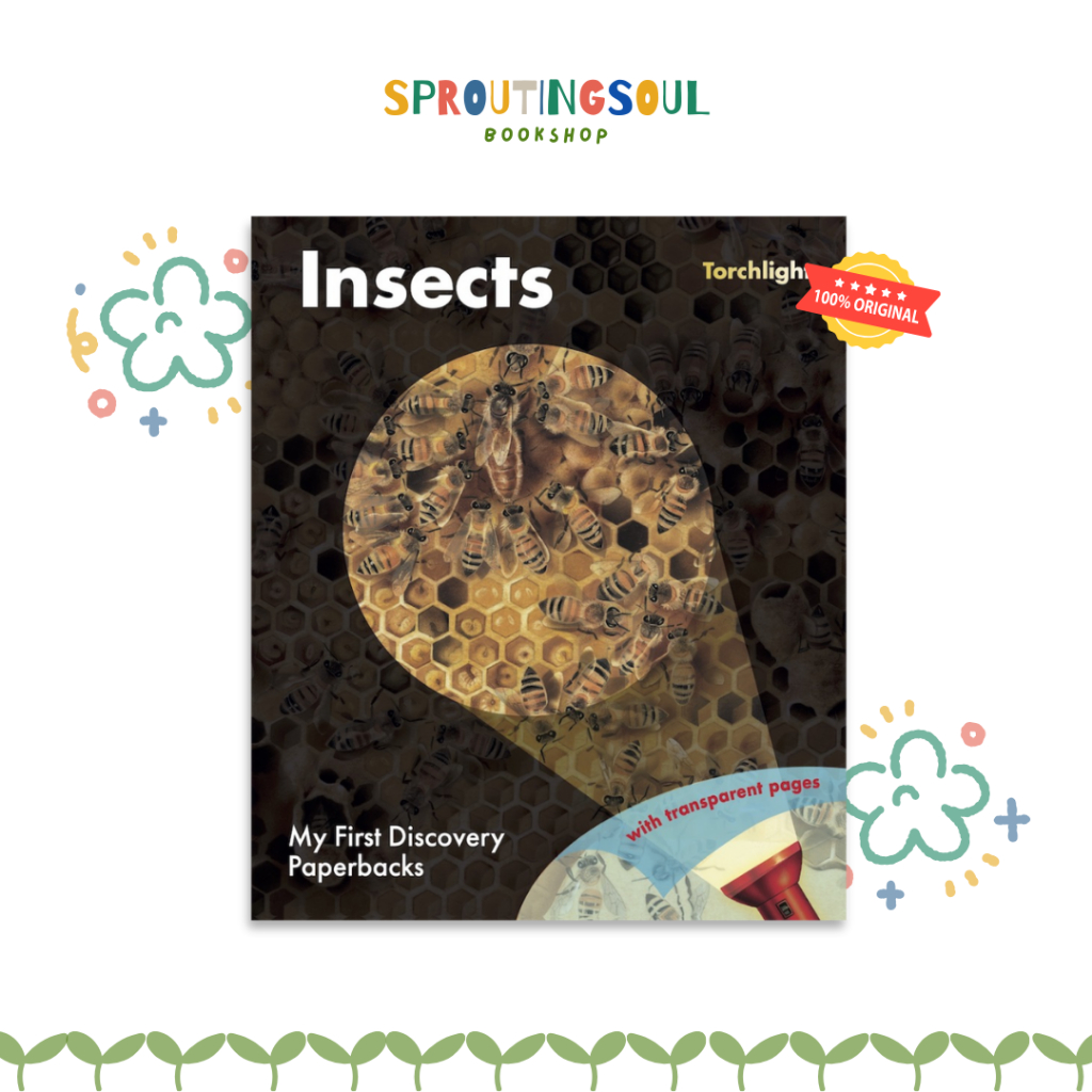 My First Discoveries Torchlight - Insects - Soft Cover - Moonlight Publishing
