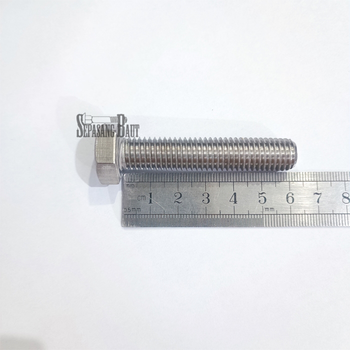 M12 x 60 Baut Hexagon Stainless 304 M12x60