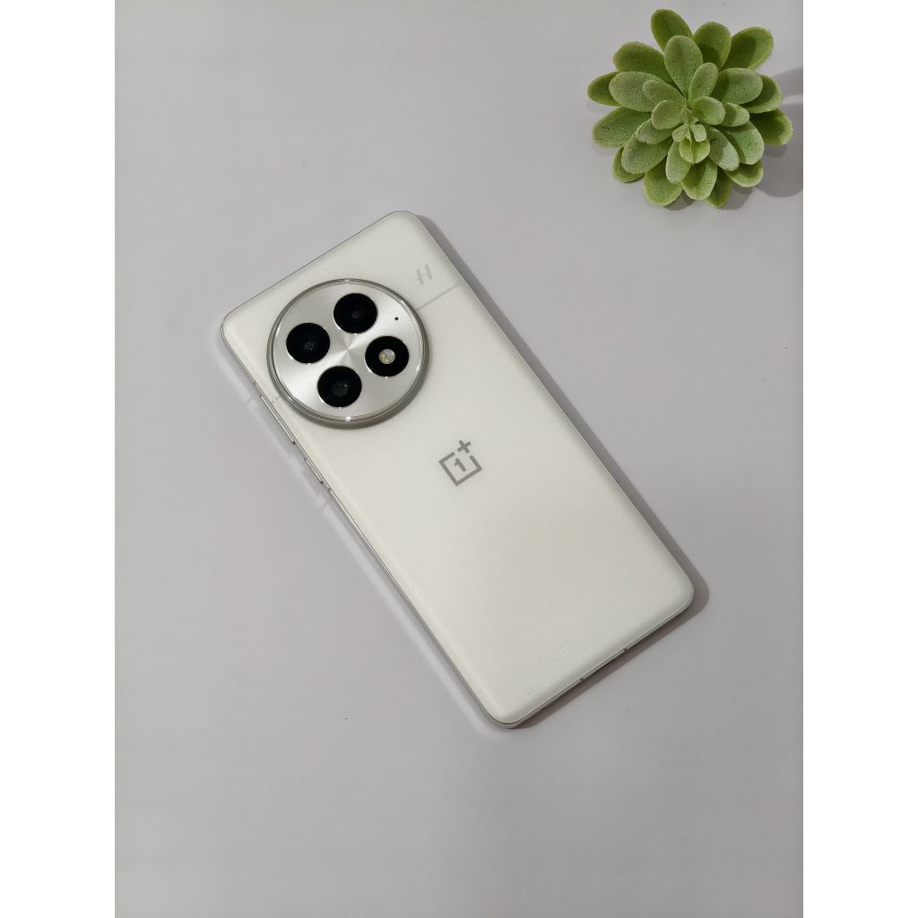 Oneplus 13 Snapdragon 8 elite 256gb