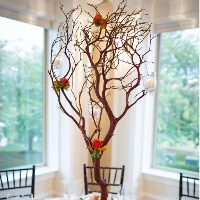 Ranting Kayu Kering Asli Ranting Kayu Dekorasi Bercabang Sudah Kupas Halus 150cm