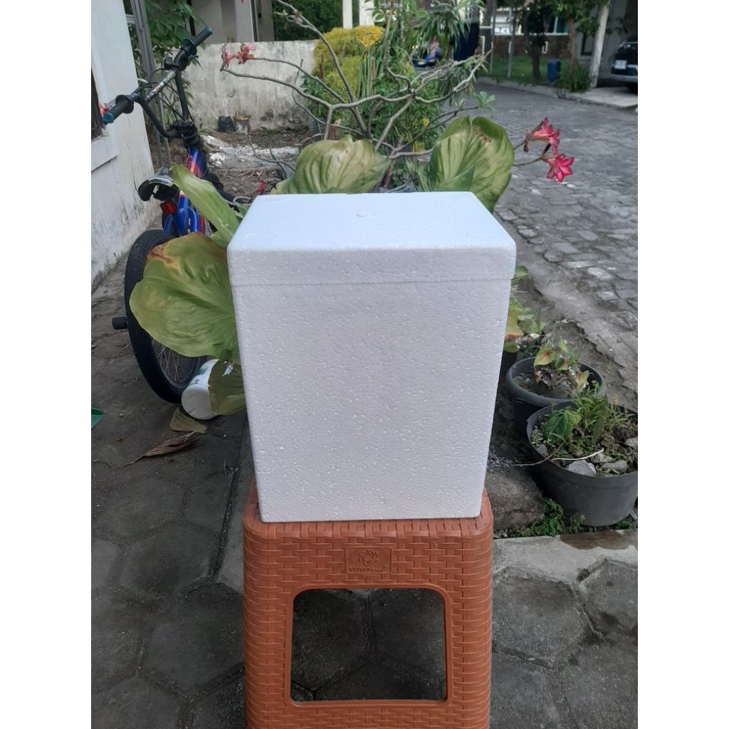Styrofoam Box Es Kecil (25 cm x 20 cm x 31 cm)