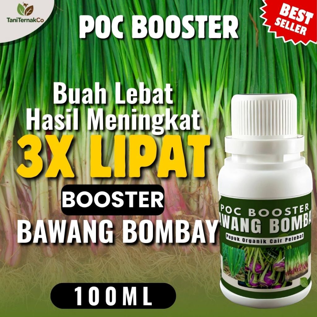 PUPUK  BAWANG BOMBAY Nutrisi Tanaman Bawang Bombay Booster Pelebat Bawang Bombay