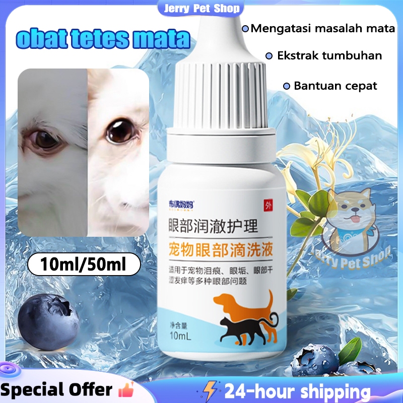 tetes mata obat mata kucing obat obatan obat tetes mata kucing
