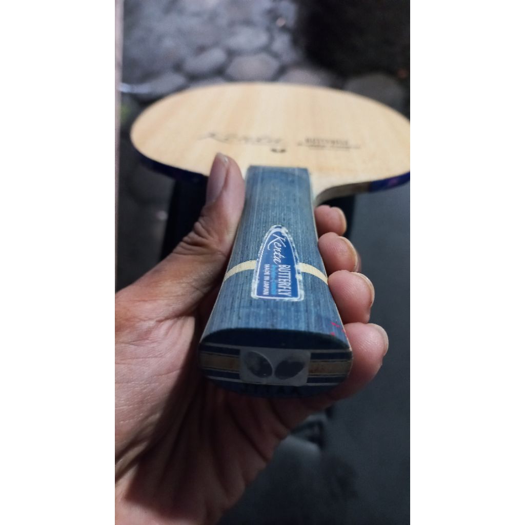 butterfly kenta matsudaira