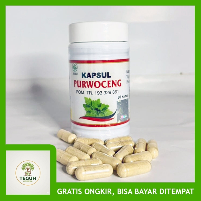 Kapsul Purwoceng Pria Dewasa Herbal Obat Kuat