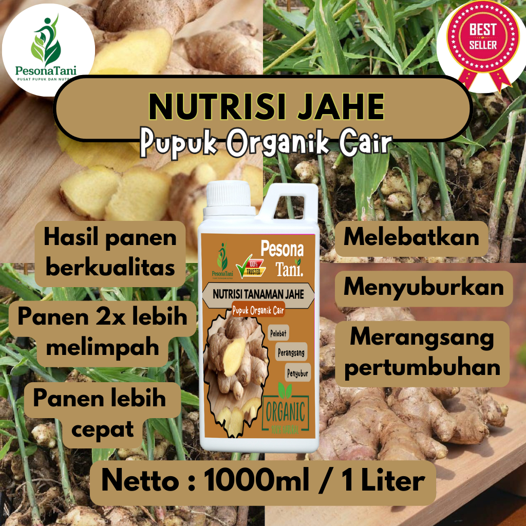 NUTRISI TANAMAN JAHE 1 LITER / 1000ML (PESONA TANI) - Pupuk Organik Cair Tanaman Jahe Booster Peleba