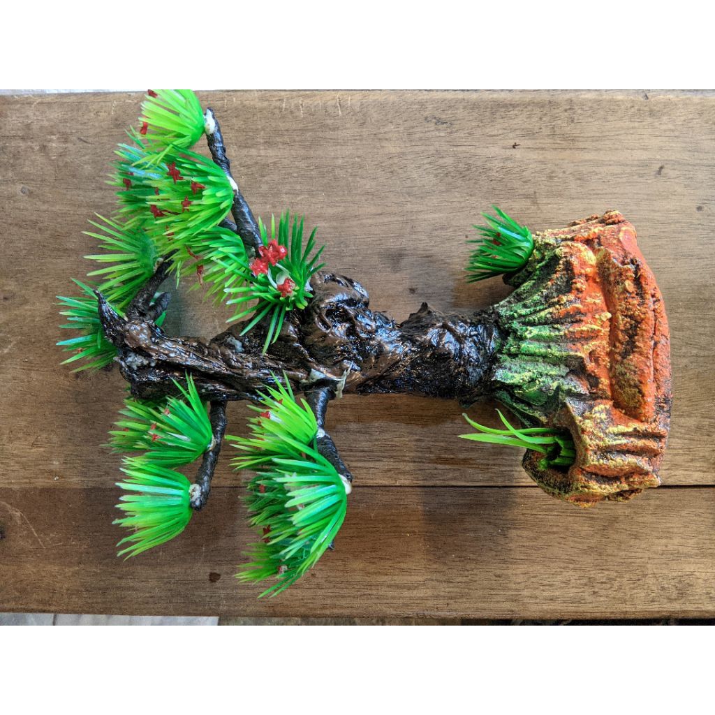 Bonsai Aquarium/hiasan aquarium