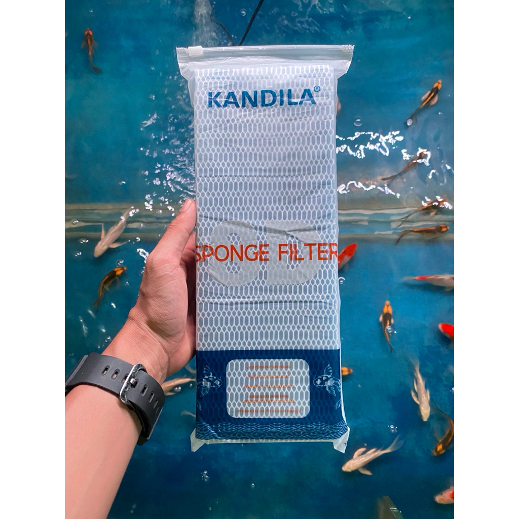 Busa Filter Penyaring Aquarium Kandila 8D isi 2 lapis