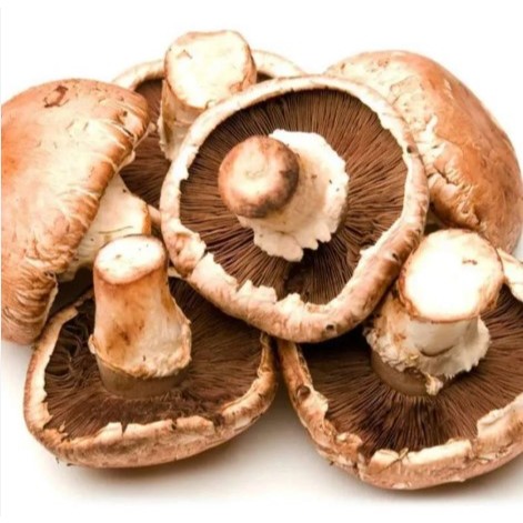 Jamur Portobello 200g