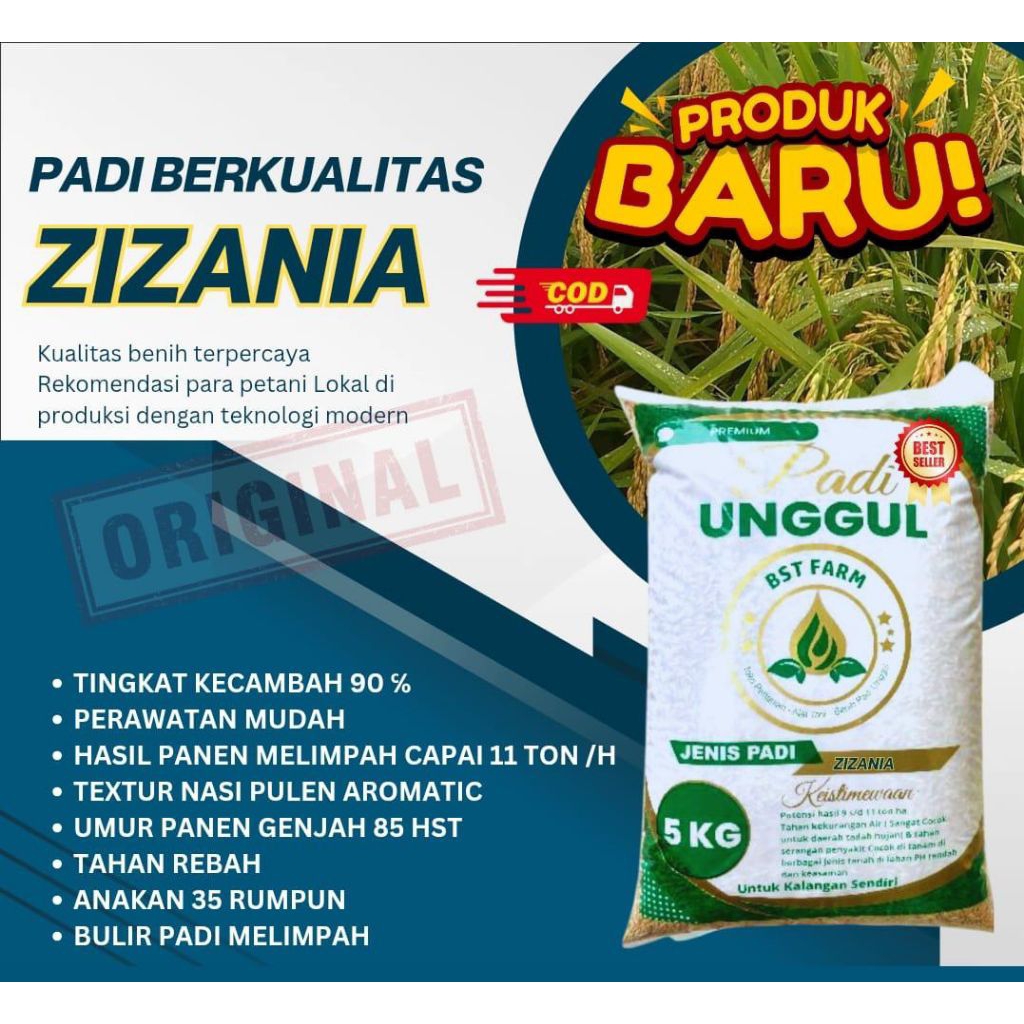 BIBIT PADI ZIZANIA KEMASAN 5KG
