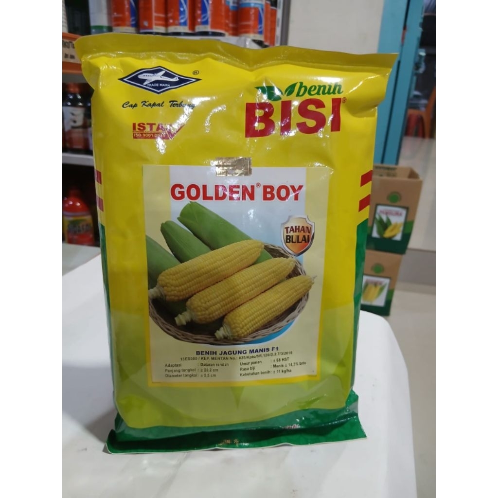GOLDEN BOY BENIH JAGUNG MANIS 500GR