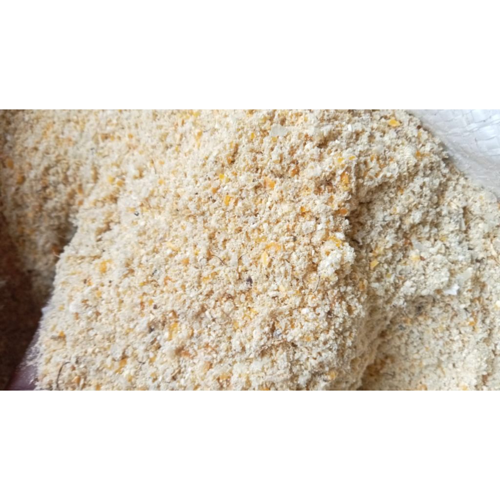 dedak jagung / tepung jagung murni tampa bonggol