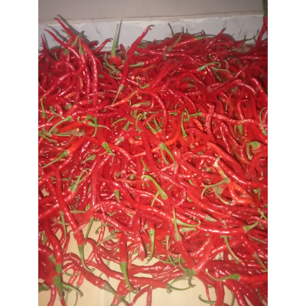 [Khusus Jawa] Cabe Merah Keriting Kiloan 1/2 kg 500gr Cabai Kriting Lombok Segar Fresh