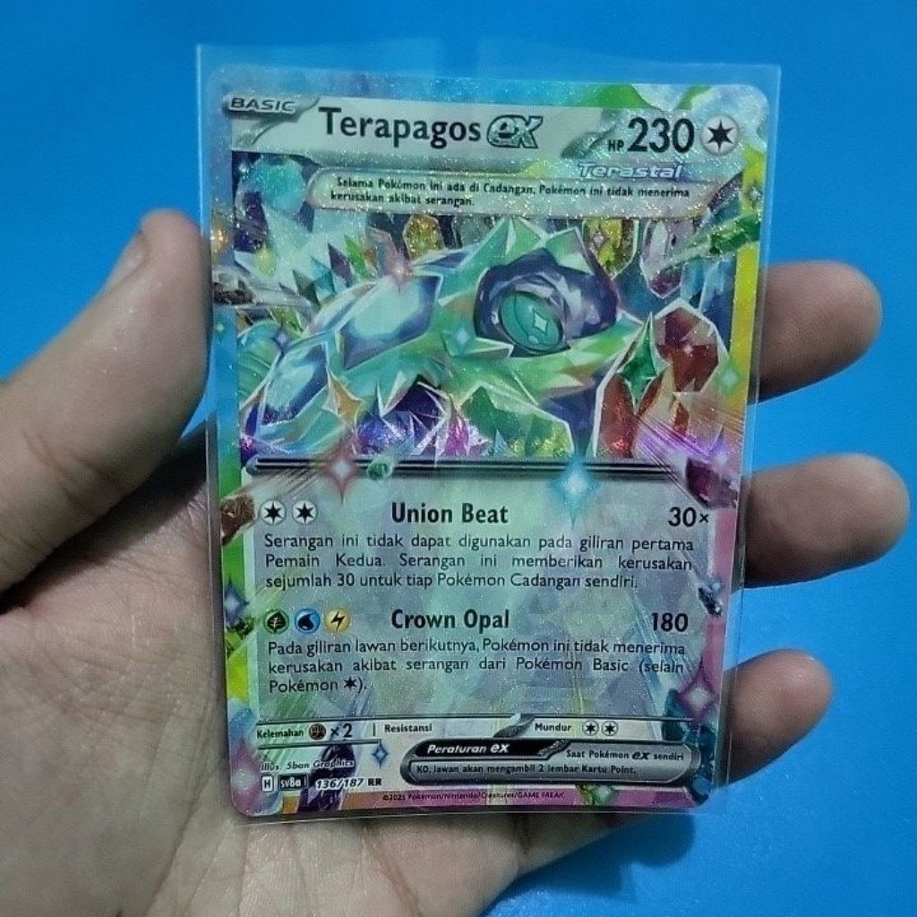 Pokemon TCG Terapagos Ex RR