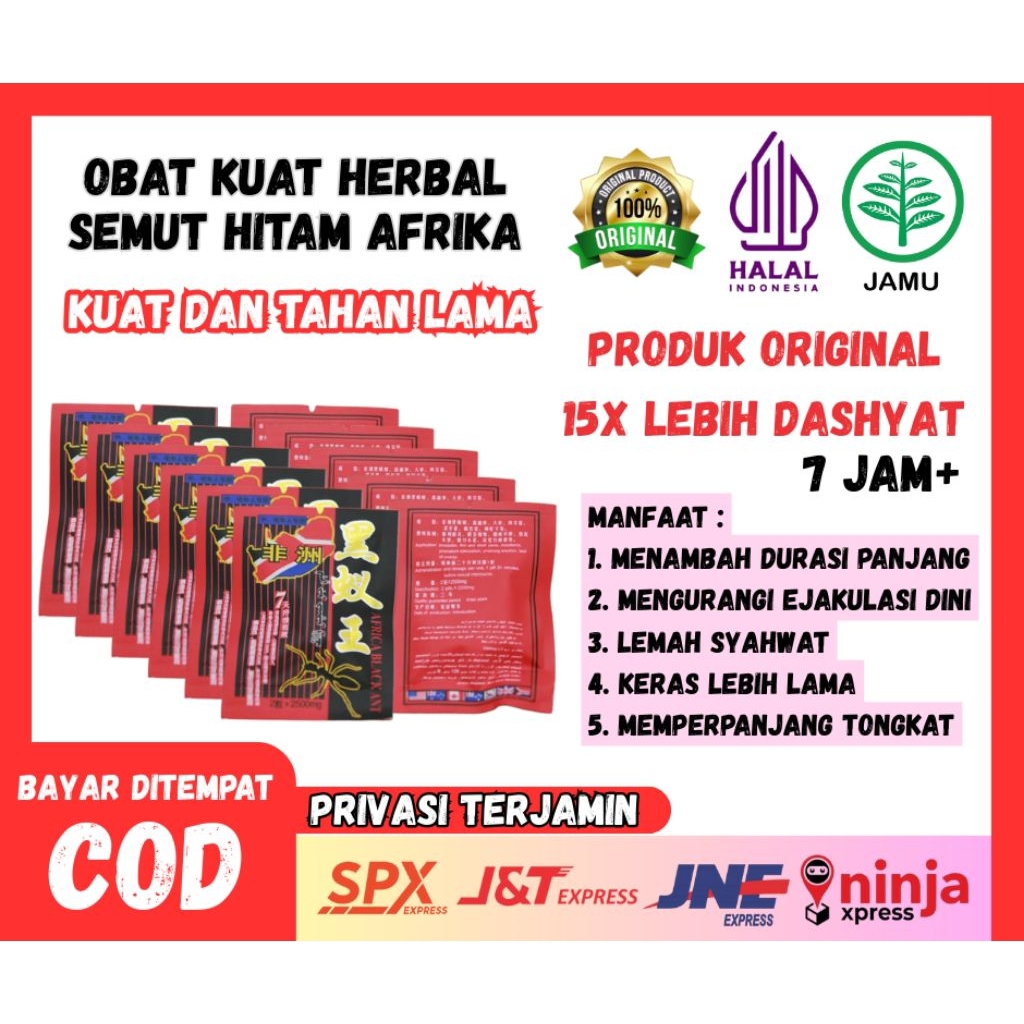 OBATKUAT Herbal Semut Hitam box blokedop afrika9 ORIGINAL