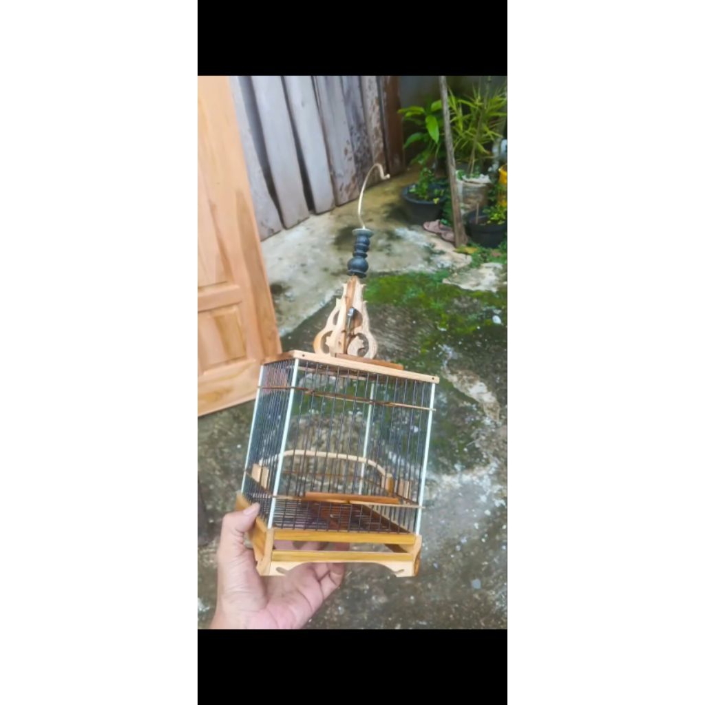 sangkar cungkok mini 15cmx15cm full fiber mentahan halus