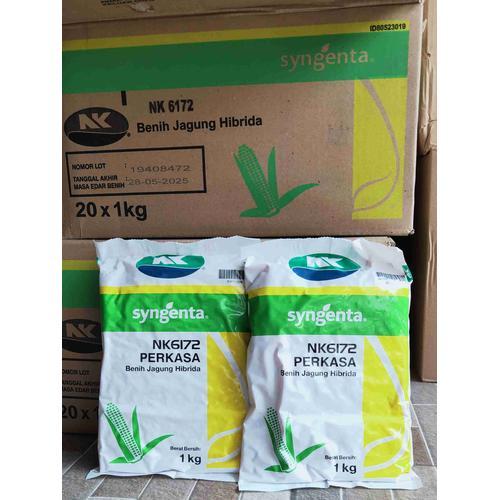 Benih Jagung NK 6172 PERKASA 1KG Benih Jagung Hibrida