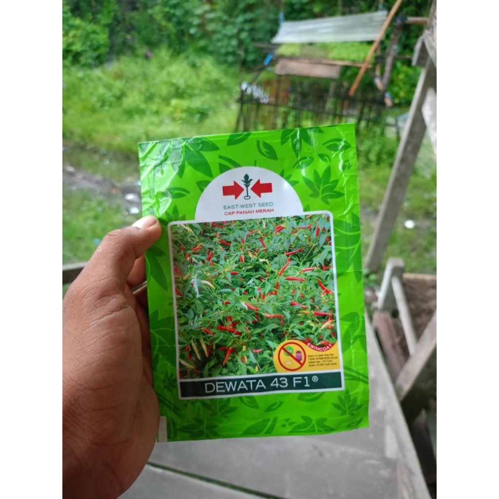 500 Biji Cabe Dewata 43 F1 Kemasan Repack