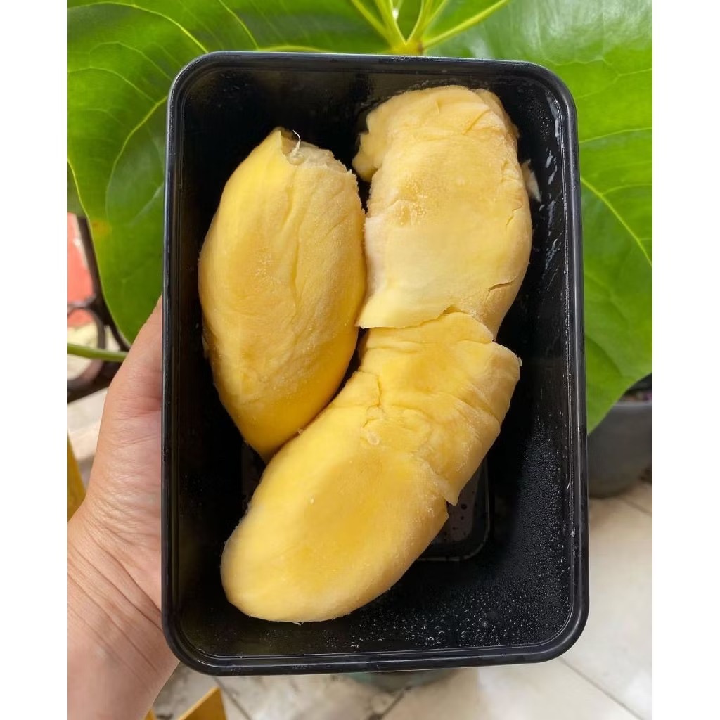 Durian l Durian Monthong Premium l Durian Monthong Palu