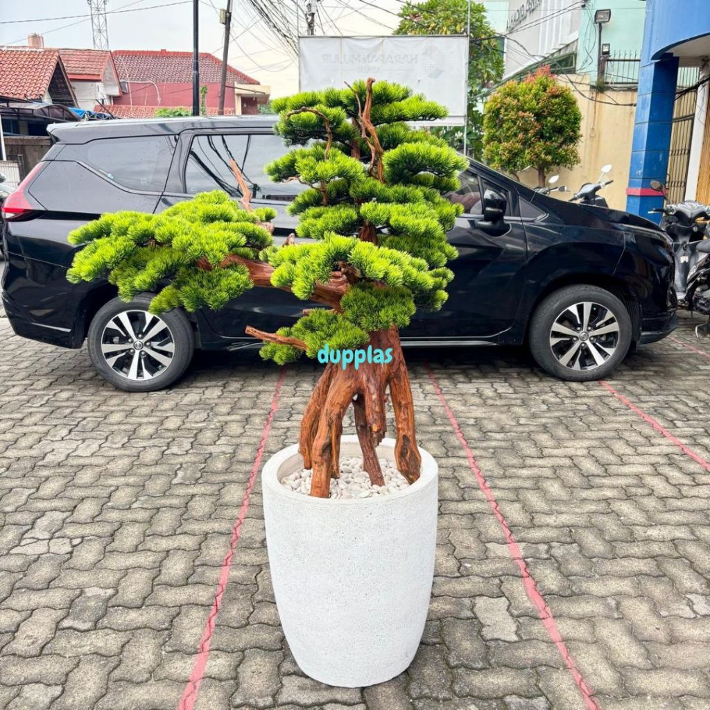 Pohon Artificial Tanaman Hias Bonsai Lohansung Jumbo Pot Terracota Model Teraso Dekorasi Cafe Pajang