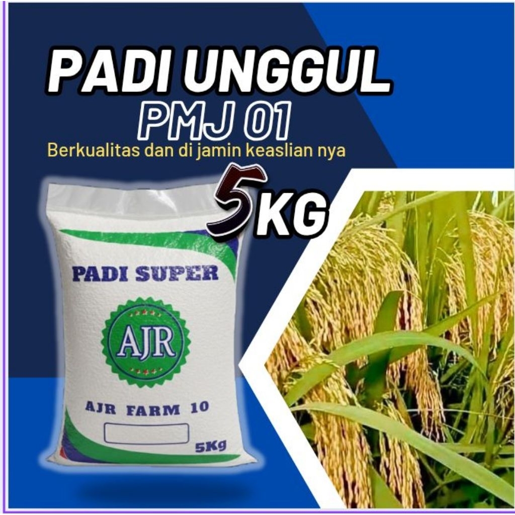 benih padi PMJ 01 original 5kg