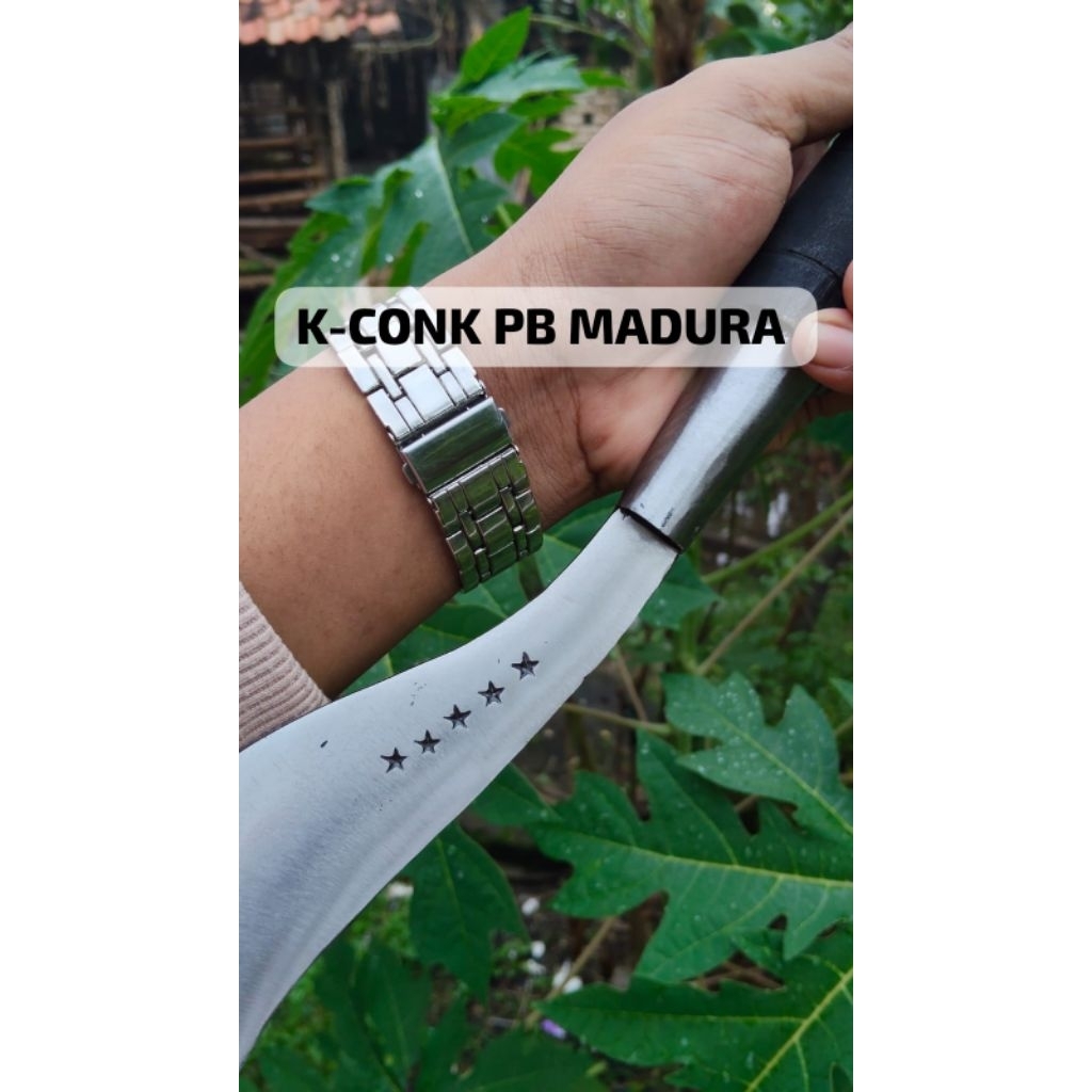 arit/sabit rumput tradisional asli baja