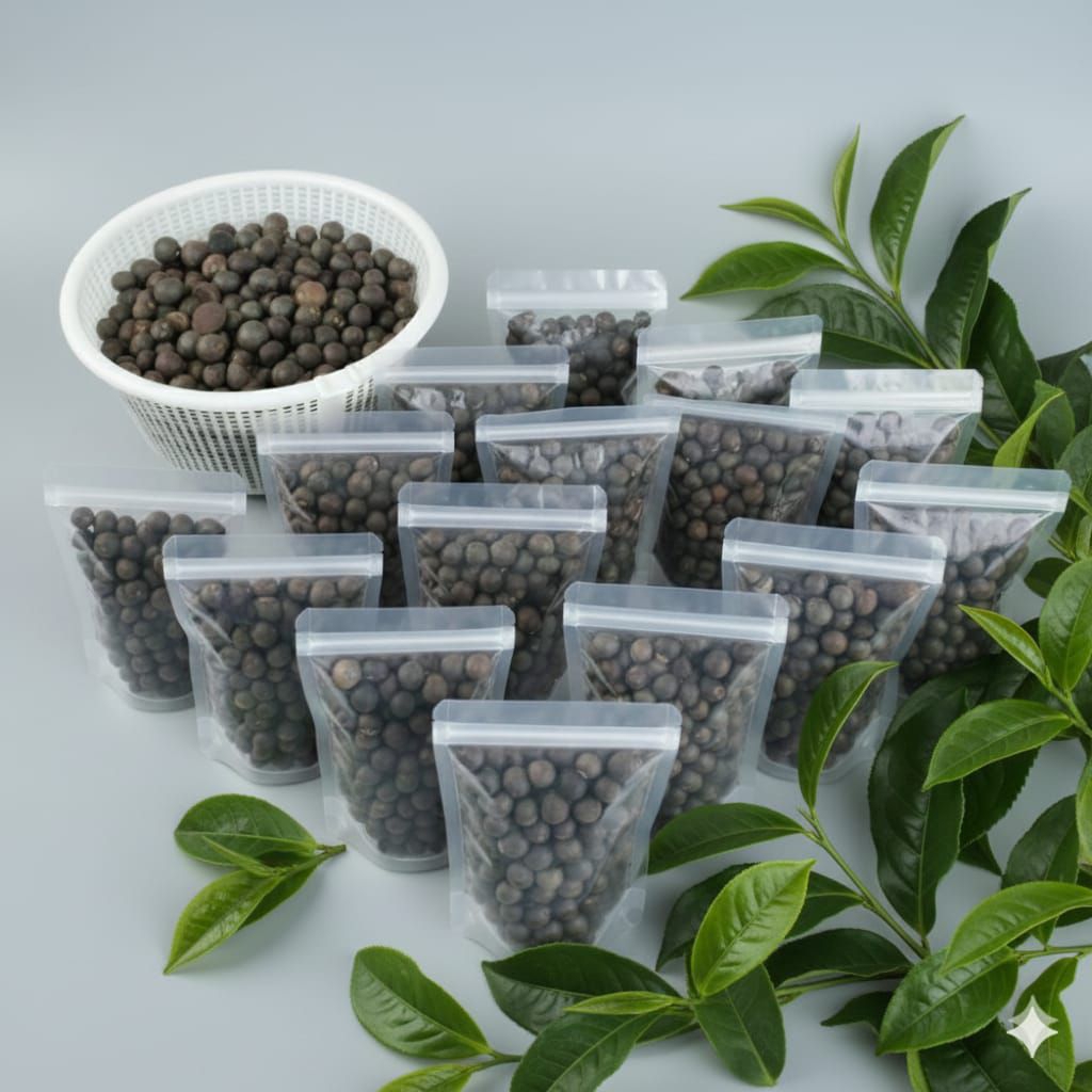 Bibit Teh hijau asli Bojonggambir(biji)