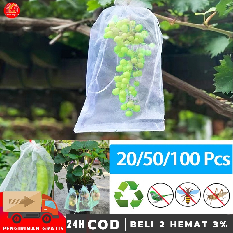 100PCS Fruit Cover/Pembungkus Buah/Fruit Cover Anti Serangga/Kantong Jaring Pembungkus/Buah Anggur/ 