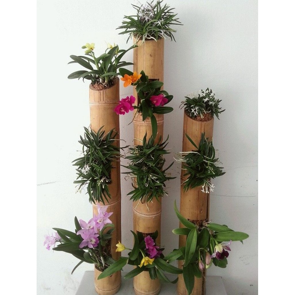 rak tanaman hias dari bambu panjang 50cm-100cm