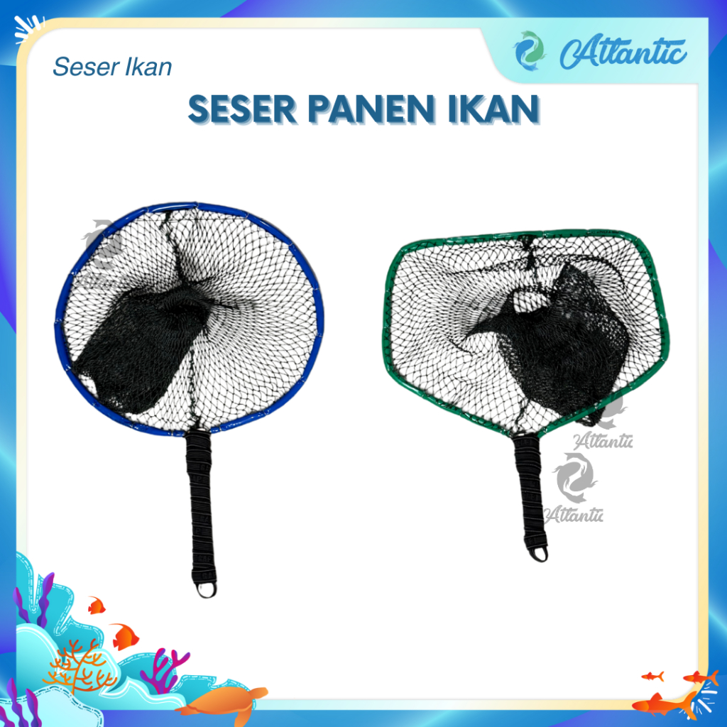 Seser Ikan Panen Serokan Ikan Besar Murah Alat Panen Lele Nila Koi