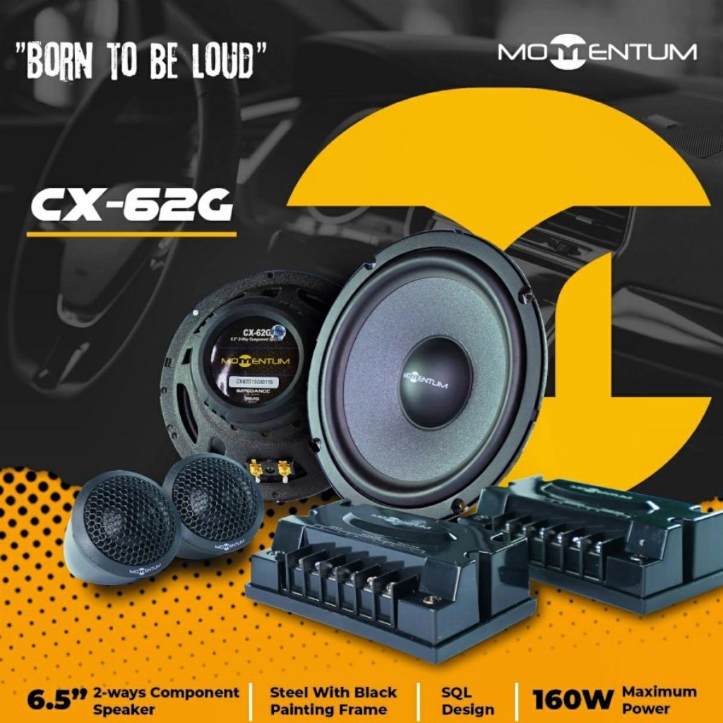 Speaker Momentum CX-62G Split 2 way component