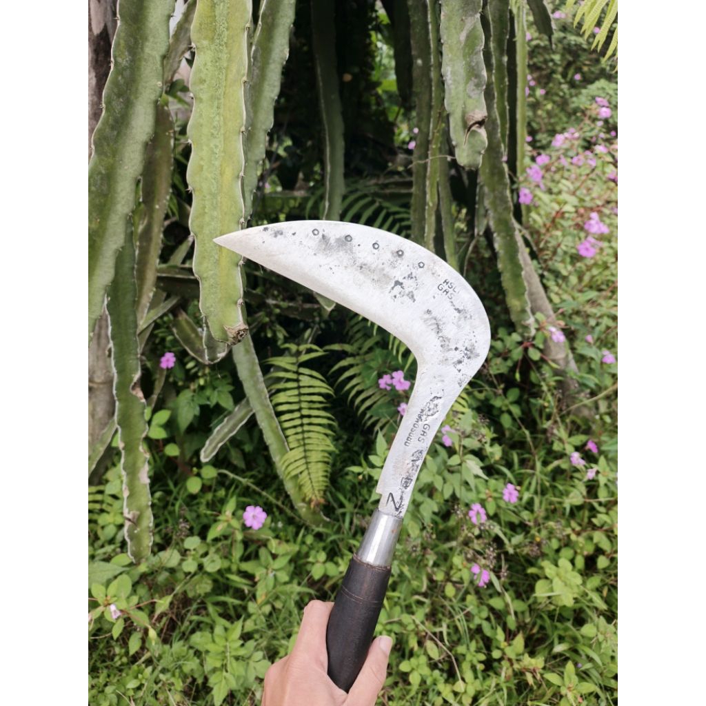 arit isen 5 lapis asli wonosobo cap gas