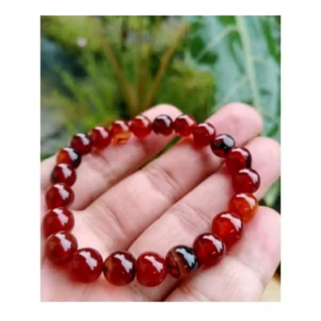 Gelang batu sulaiman madu