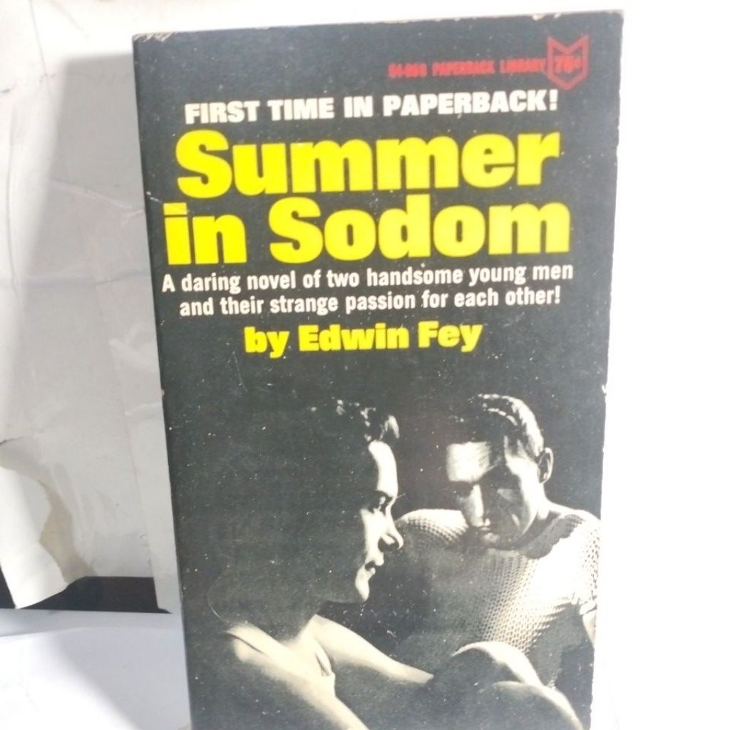 Novel Summer in sodom