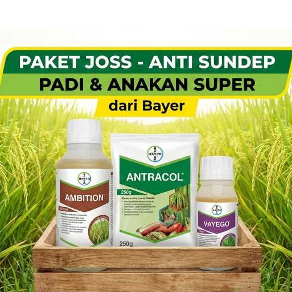 Paket Padi Joss anti sundep dan anakan super dari Bayer Vayego 100ml, Antracol 250ml, Ambition 500ml