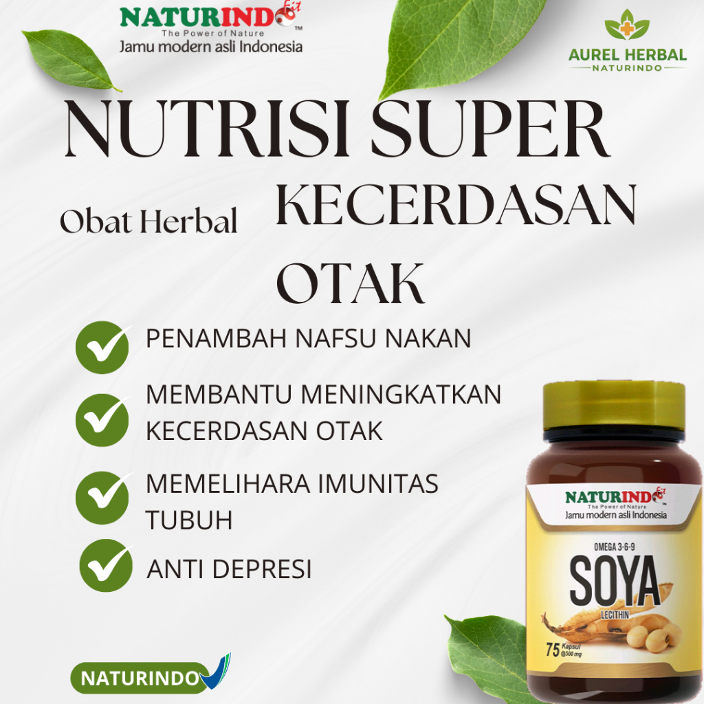 OMEGA 3 6 9 Soya Lecithin Naturindo