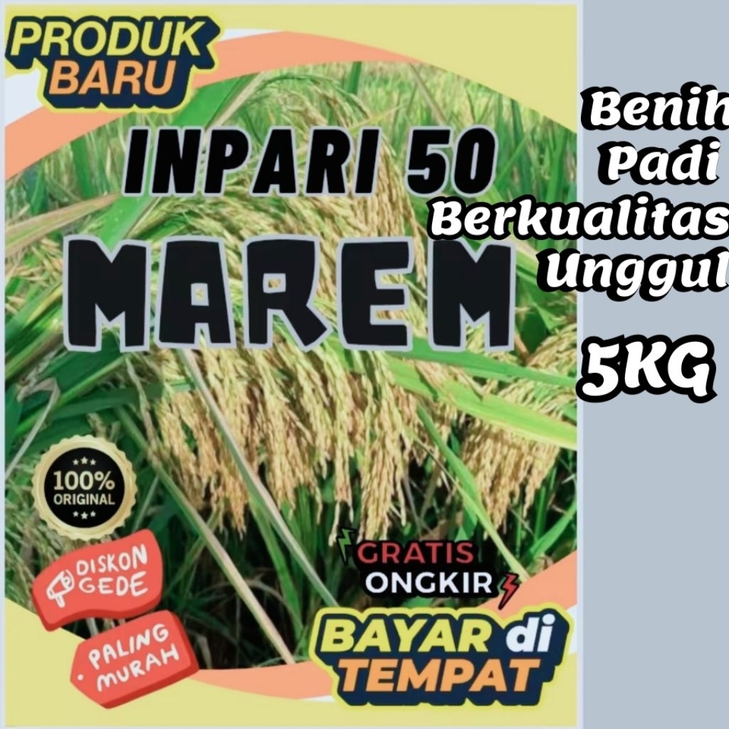 BENIH PADI INPARI 50 MAREM BERKUALITAS UNGGUL KEMASAN 5KG